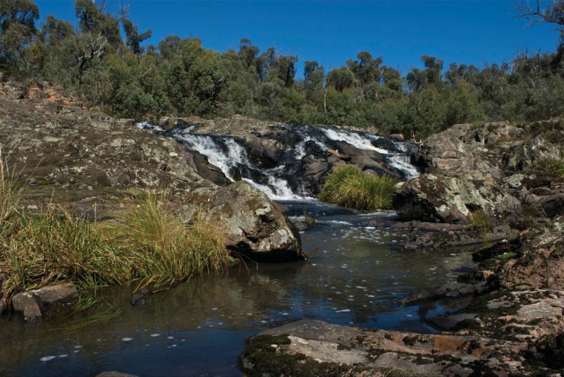 Snowy River National Park