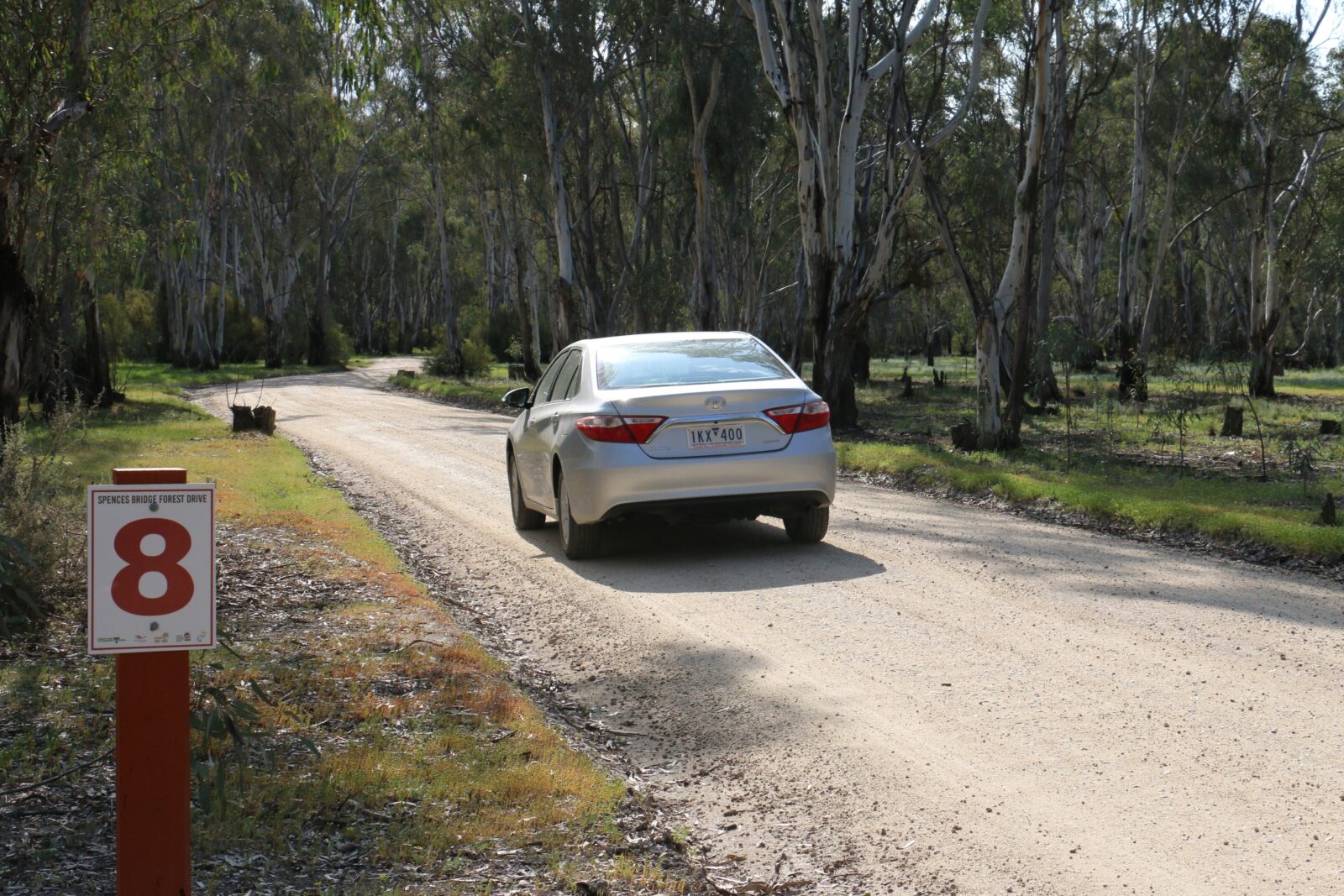 Car on forest track passing Site 8 marker