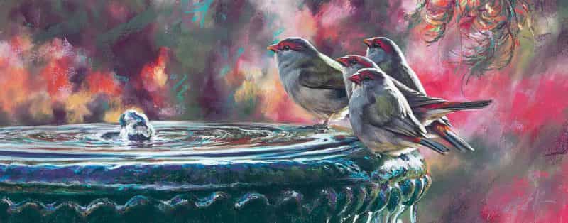 'Party time - firetail finches' - Pastel on Colourfix paper, Image size 76 X 30 cm