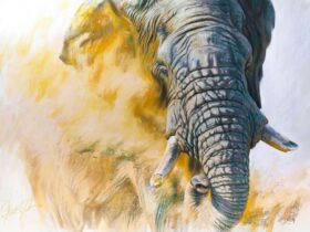 'Grand elder statesman - African bull elephant' - Pastel on Supertooth paper, Image size 73 X 100 cm