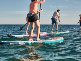 Stand Up Paddle Board Group Adventures
