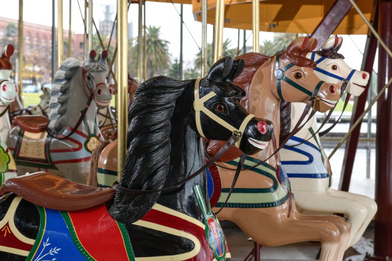 A close up of three Carousel Horses. The colours of the horses are black, tan and white.
