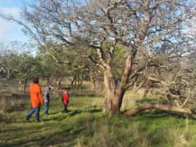 Visitors walking around the Bandicoot Wildlife Walk