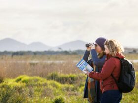 Image of two birdwatchers, one holding binoculars another holding a birds of Australia book