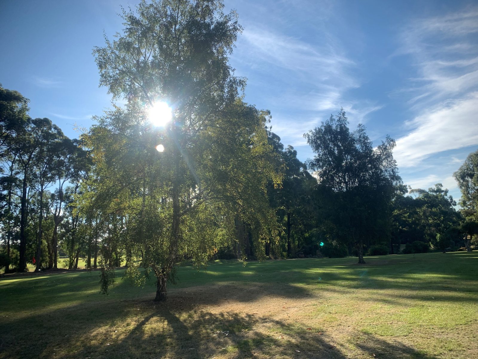 View of the green at Timboon Golf Course