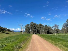 Gravel Rd, green grass, fences, gum trees, blue sky with clouds, mountains in distance