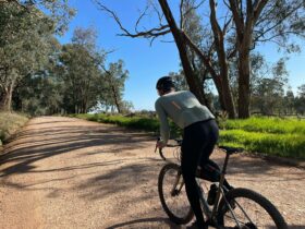Cyclist off saddle riding up a slight gradient on Gravel Road, green grass, gums trees, blue sky