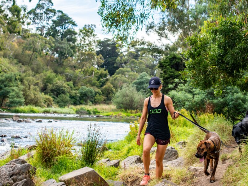 Woman walking dog alongside Yarra River