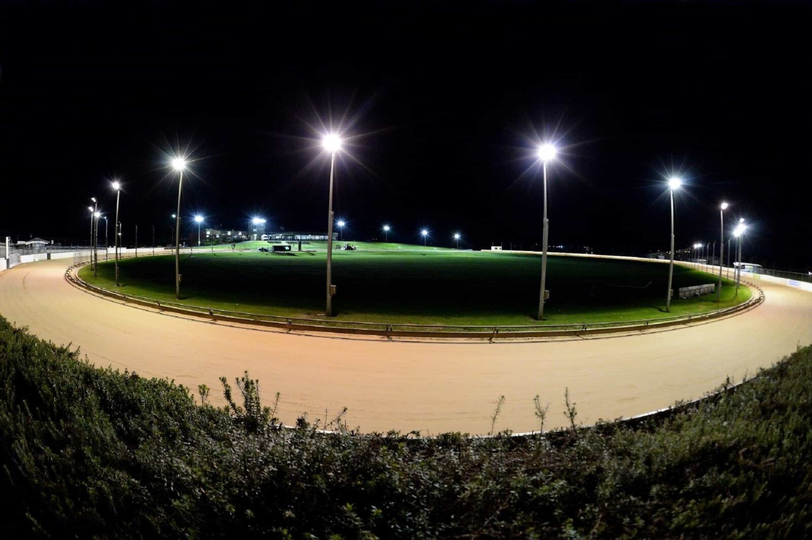 Warrnambool Greyhounds - Racing under lights every Thursday