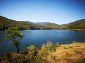 Blue Sky View to mountain behind a very crystal clear still lake in the King Valley