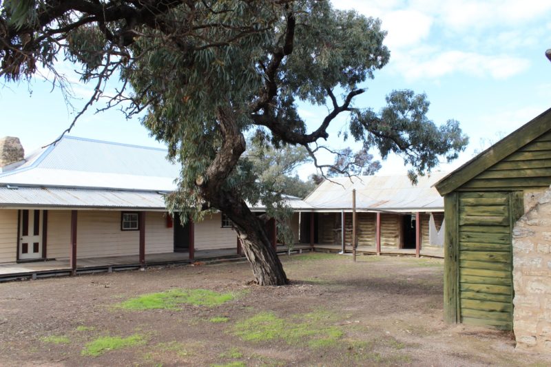 Albacutya homestead courtyard with three outbuildings and central gum tree.