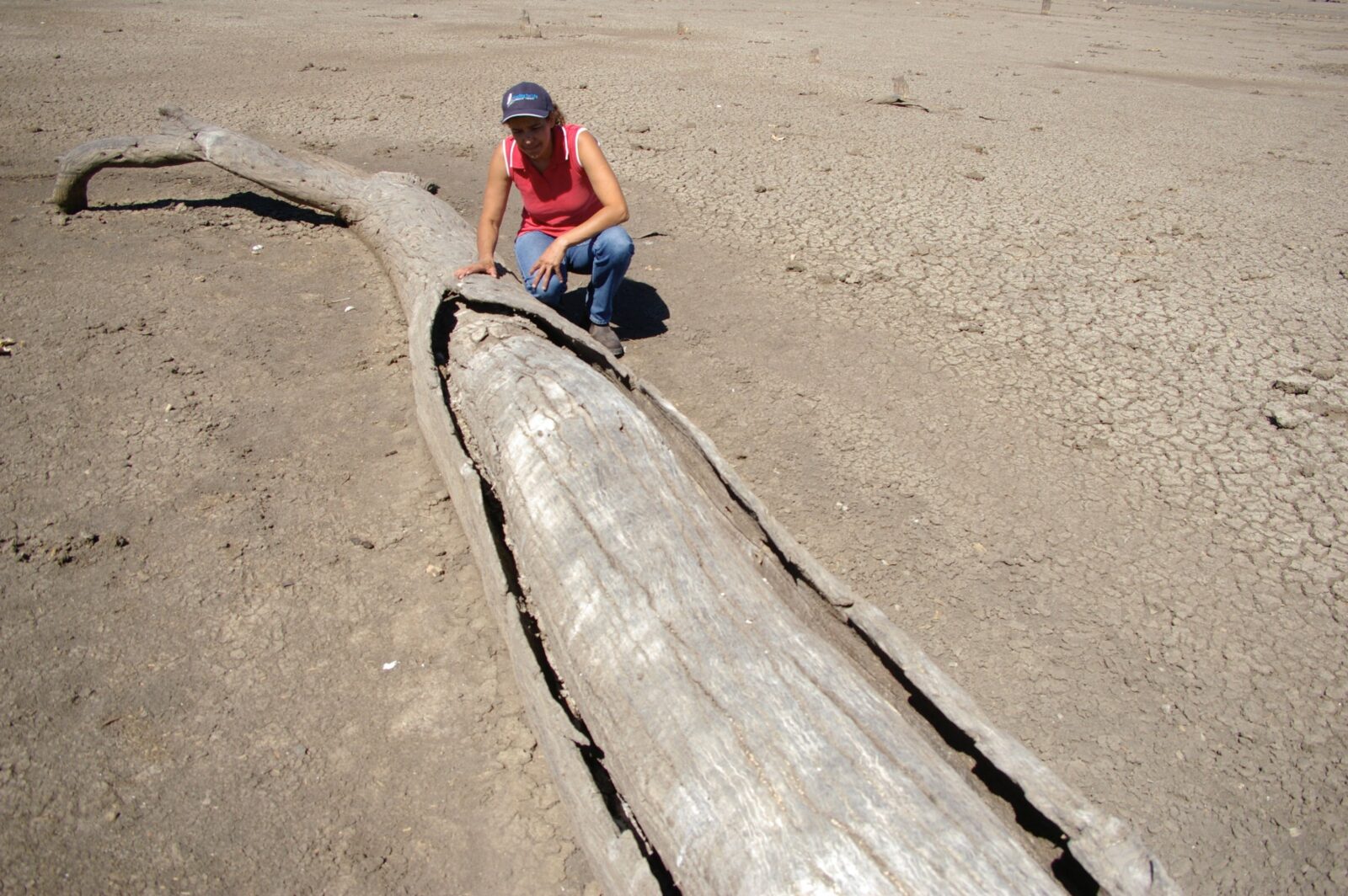 One of many canoe scar lying on the bed of Lake Boort.