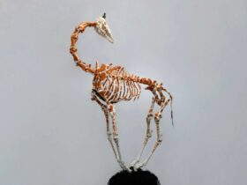 Sculpture of a giraffe skeleton made from wool with steel frame.