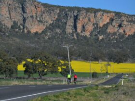 Cyclists with Mount Arapiles in background