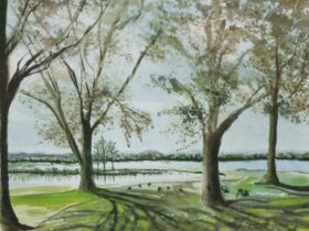 4 denuded trees with shadows on green grass and Lake Wendouree in the background.