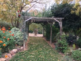 Garden, Arch