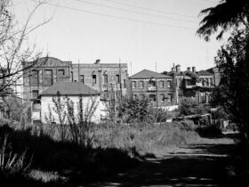 rear of Lydiard Street 1950s