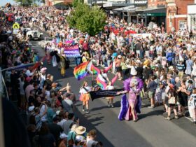 View from second floor window os a colourful parade on the main street of Daylesford