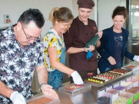 Chocolate Discovery Class