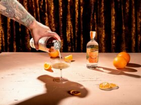 Person pouring a cocktail with a bottle of gin and oranges in background