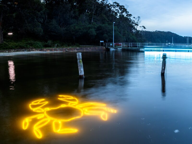 Underwork light installation in the shape of a giant grab with a jetty illuminated in the background