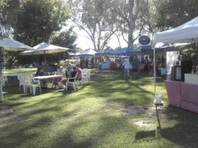 Sunshine over the market in Rotary Park