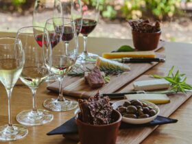 A table is set with a flight of five wines and matching food