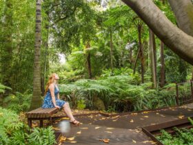Forest Therapy at Melbourne Gardens