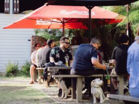 dogs and humans sitting out in the beer garden