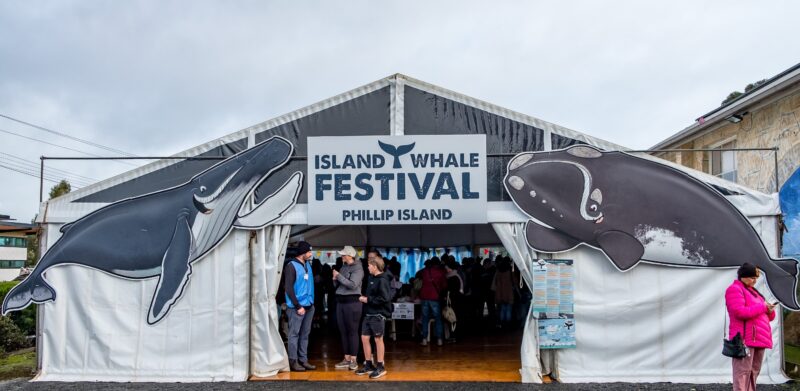 a marquee with people entering and 2 large whale cutouts