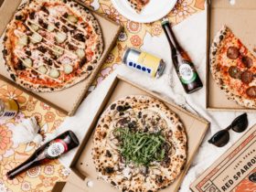 Picnic rug spread out with vegan pizzas and cider