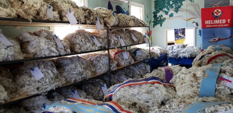 Fleeces to be baled for Helimed bale auction