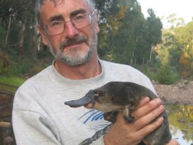 Geoff Williams holding a platypus