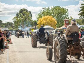 Vintage Tractors in the Easter Parade