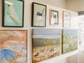 Various artworks at an exhibition, depicting birdlife and landscapes
