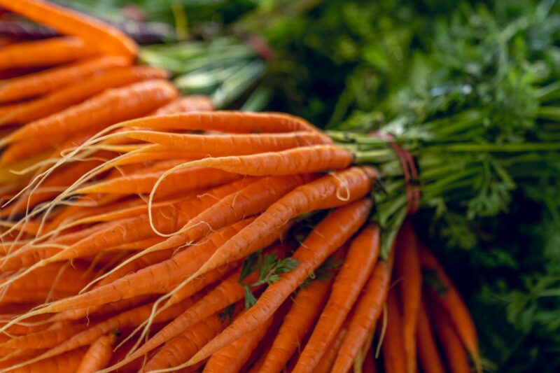 Farm Fresh Carrots by the bunch