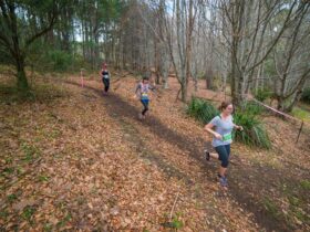 The Trail Running Series presented by The North Face, Race 3, Silvan, Dandenongs