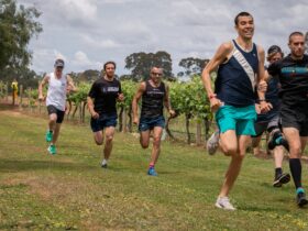 Runners at the Vineyards Running Festival