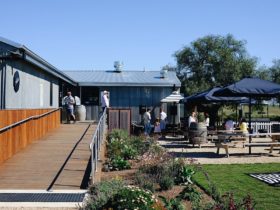 The outside of our cellar door showing our large accessible ramp and outdoor benches