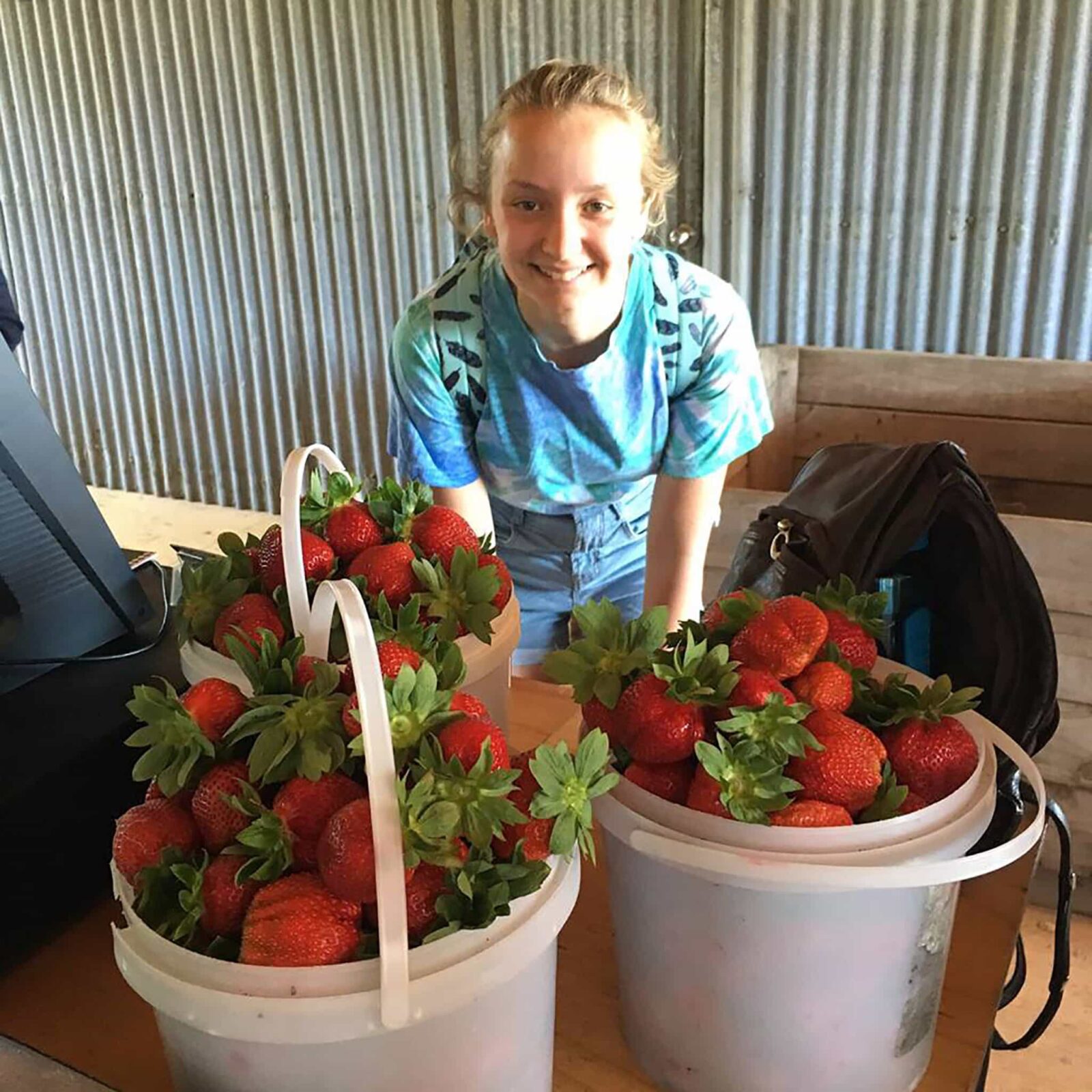 A U-picker girl with three buckets full of strawberries