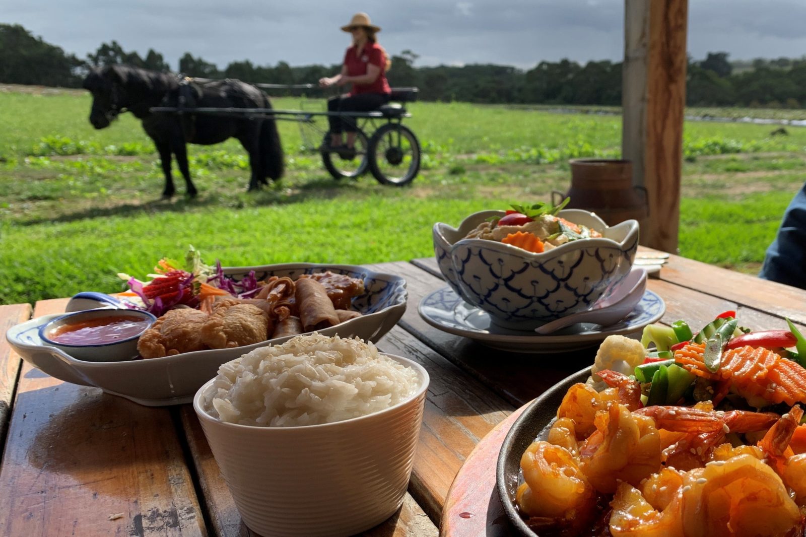 Close up of Thai meals with a horse and cart in the background