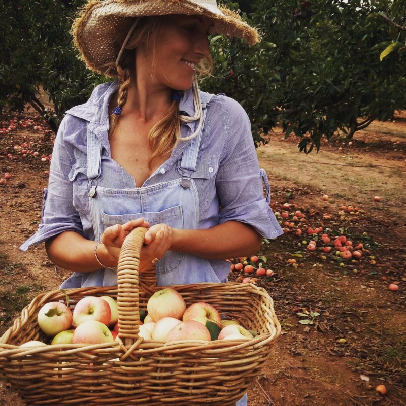Black Barn Farm - Pick Your Own Apples