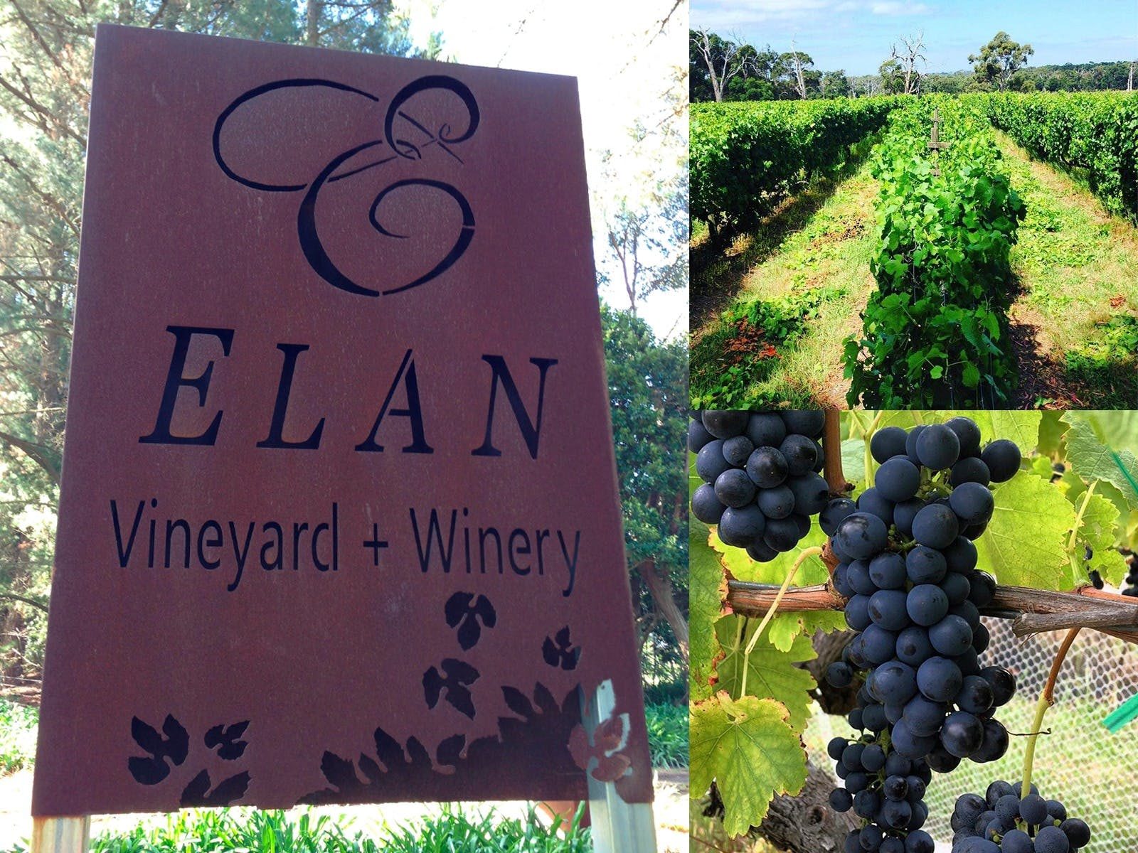 Elan Vineyard & Winery