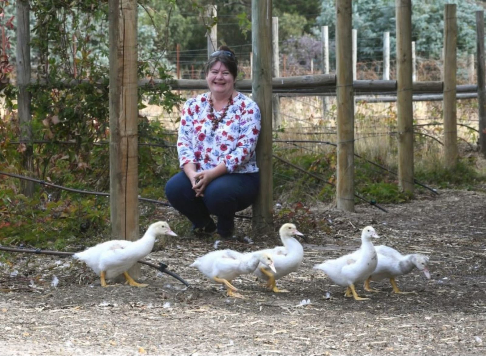 Five Ducks Farm