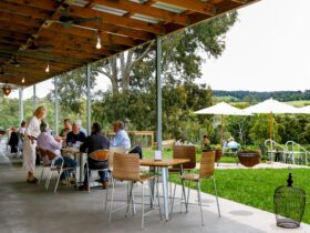 Glenmaggie Wines; Central Gippsland Wines; Gippsland; Gippsland wines; things to do in Gippsland