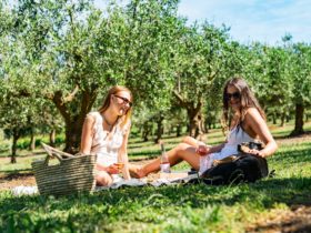 Two girls in the olive grove enjoying the Farm Picnic for 2