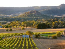 View of Hanging Rock from Hanging Rock Winery