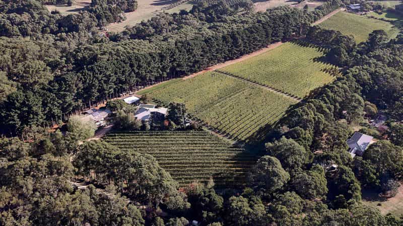 The first licensed winery on the Mornington Peninsula