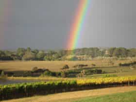 Paradigm Hill Rainbow