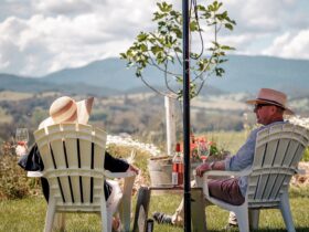 A woman and a man overlooking the King Valley having a glass of wine.